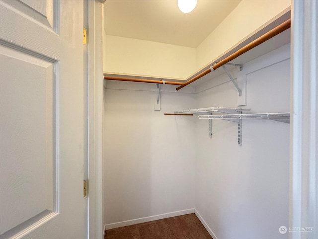 spacious closet featuring dark colored carpet