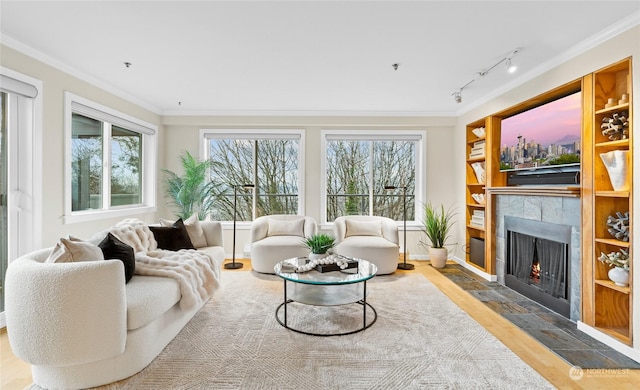 living room featuring a tile fireplace, ornamental molding, rail lighting, and a healthy amount of sunlight