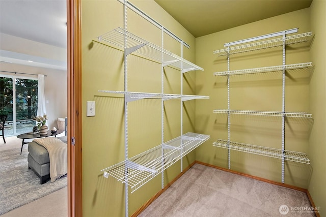 spacious closet with carpet