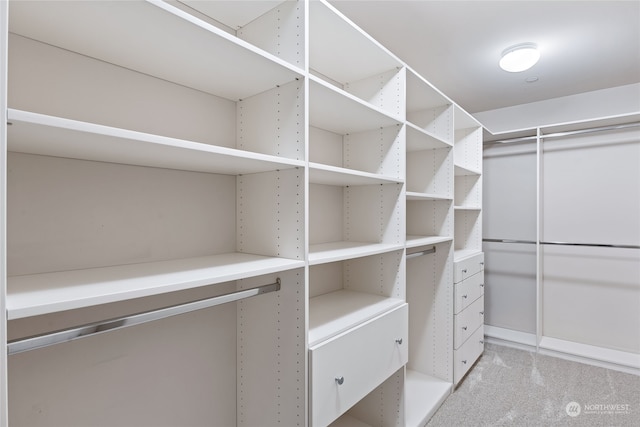 walk in closet featuring light carpet