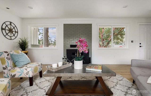 living room with a fireplace, plenty of natural light, and wood-type flooring