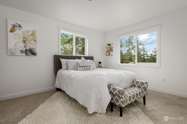 carpeted bedroom with multiple windows