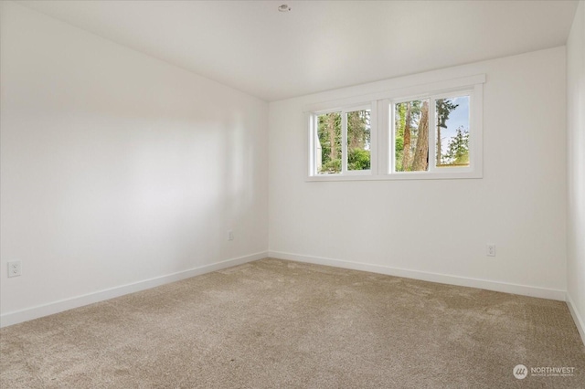 empty room featuring carpet