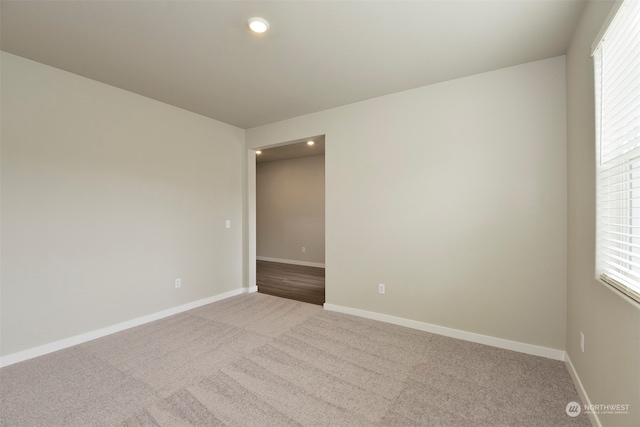 empty room featuring carpet floors and a wealth of natural light