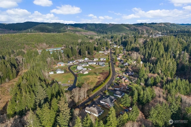 birds eye view of property featuring a mountain view