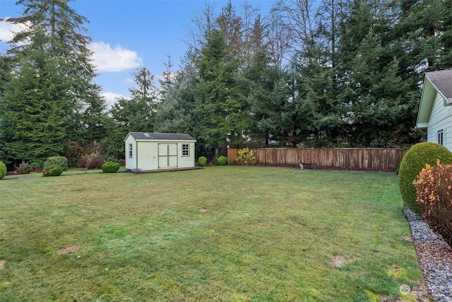 view of yard with a shed