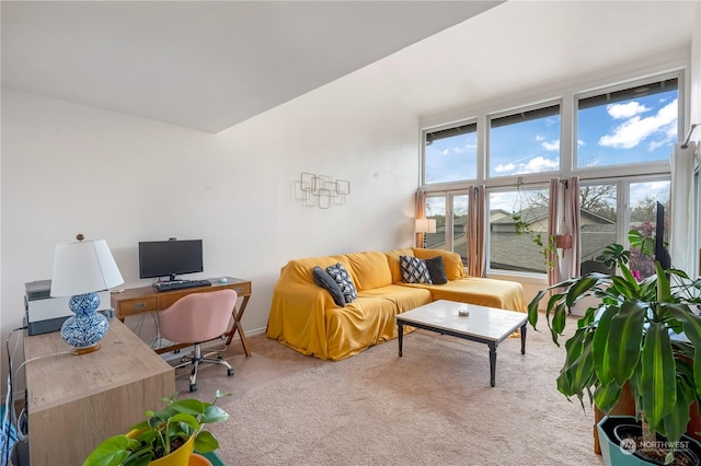 carpeted office with a wealth of natural light