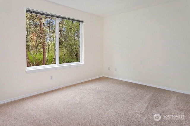 spare room with carpet flooring and a wealth of natural light