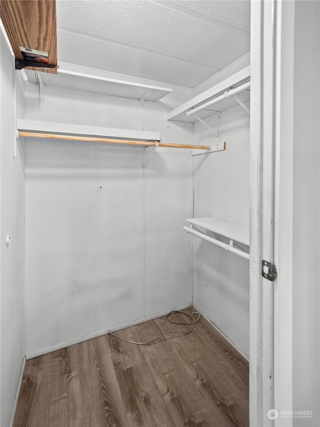 walk in closet with wood-type flooring