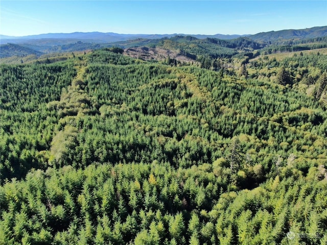 0OFFOF Butte Creek Rd, Raymond WA, 98577 land for sale