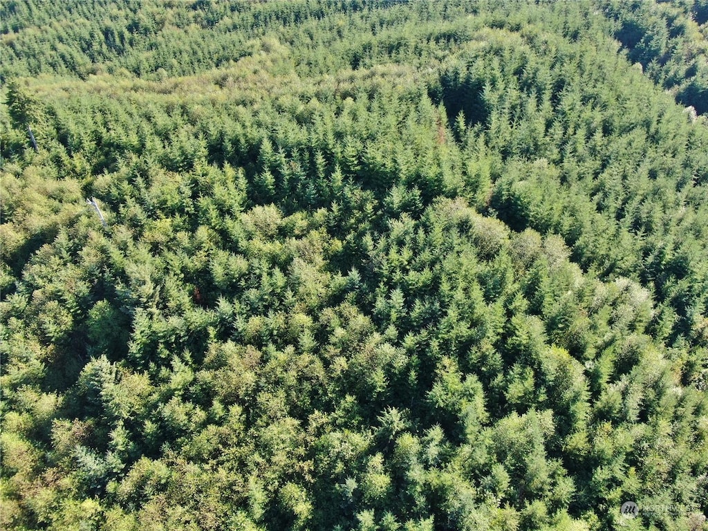 0OFFOF Butte Creek Rd, Raymond, WA 98577 - photo 2
