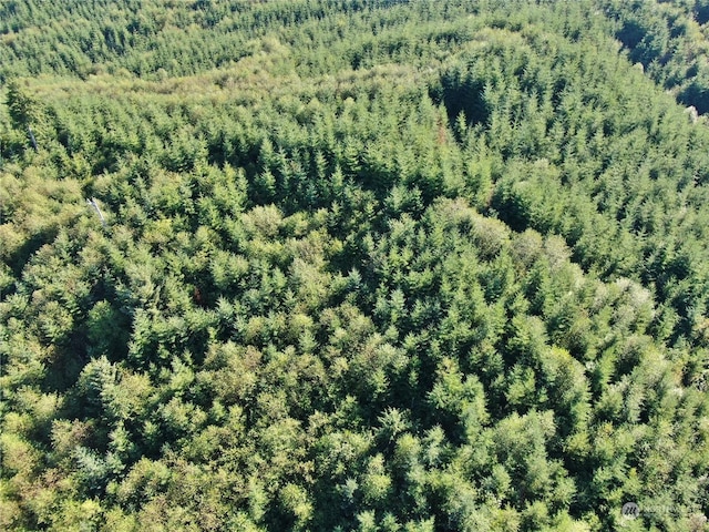 0OFFOF Butte Creek Rd, Raymond, WA 98577 - photo 2