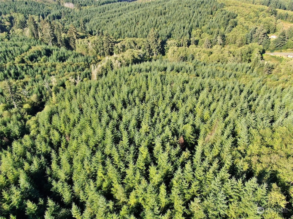 0OFFOF Butte Creek Rd, Raymond, WA 98577 - photo 3