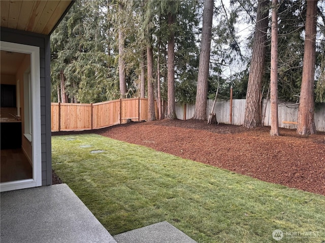 view of yard with a fenced backyard and a sink