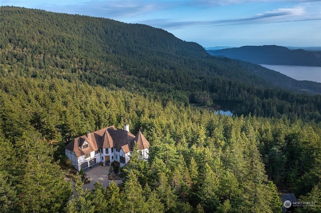 birds eye view of property featuring a mountain view