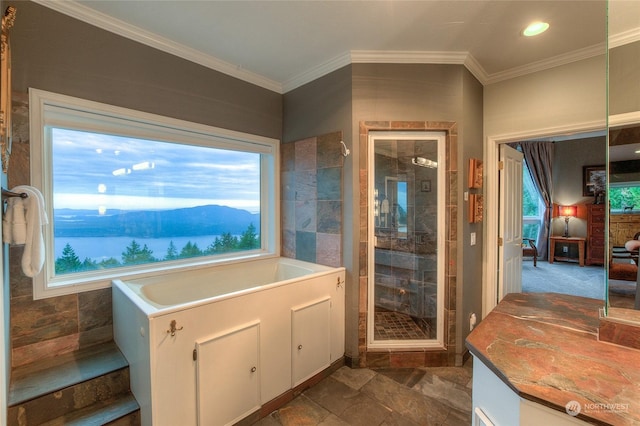 bathroom featuring a mountain view, tile walls, and crown molding