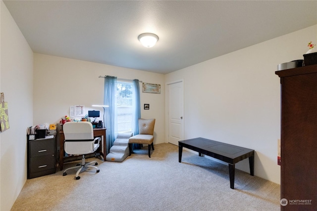 view of carpeted home office