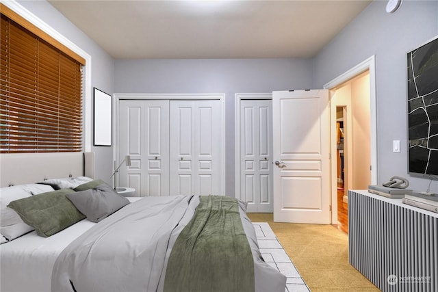 bedroom with two closets