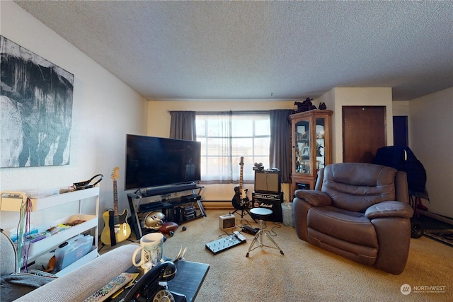 living room with carpet flooring and a textured ceiling