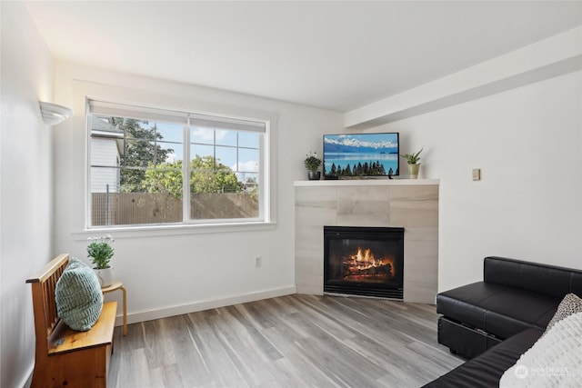 living room with a tile fireplace and light hardwood / wood-style flooring