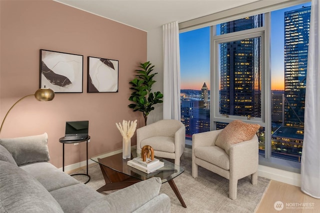 living area featuring baseboards, a city view, and wood finished floors