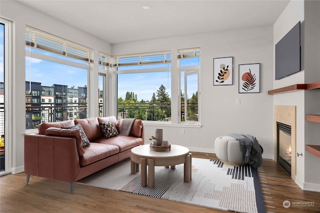 living room featuring dark hardwood / wood-style floors and a healthy amount of sunlight