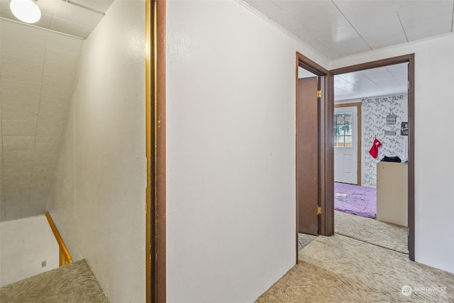 hallway featuring light colored carpet and crown molding