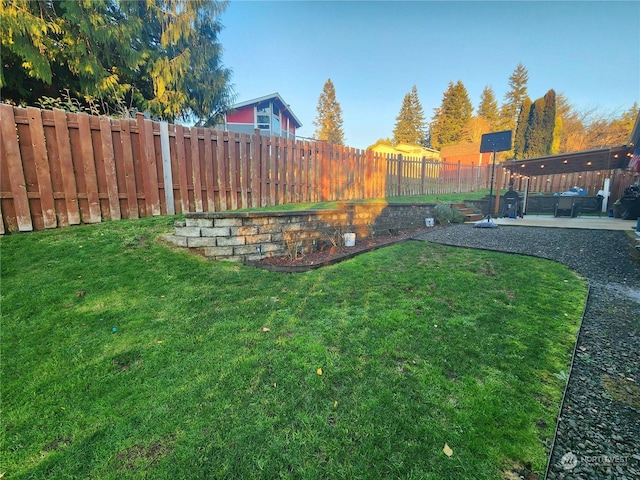 view of yard featuring a patio