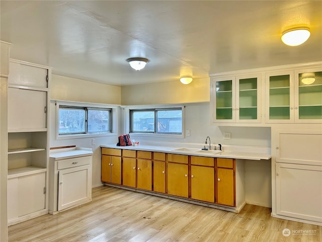 kitchen with light wood-type flooring, white cabinetry, and sink