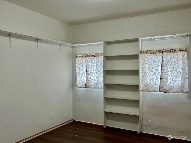 spacious closet featuring dark hardwood / wood-style flooring