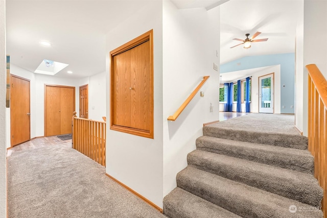 staircase featuring ceiling fan, lofted ceiling with skylight, and carpet floors