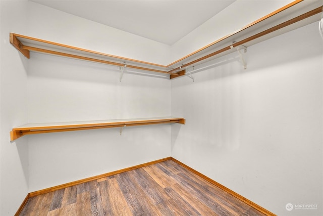 walk in closet featuring wood-type flooring