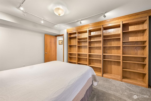 carpeted bedroom featuring track lighting