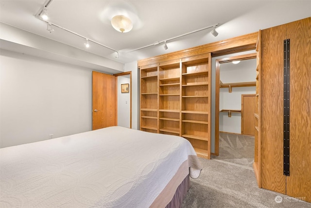 bedroom with carpet, rail lighting, and a closet