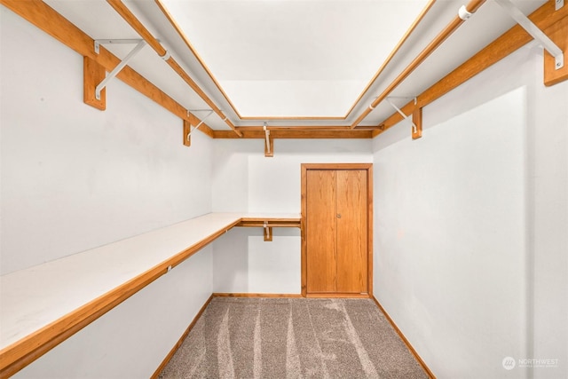 spacious closet with carpet floors