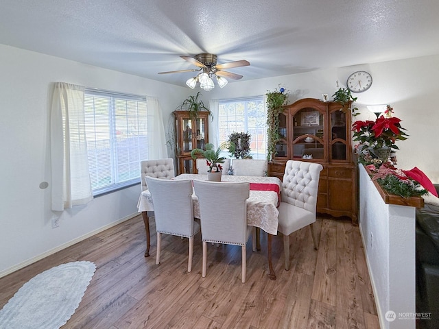 dining space with a textured ceiling, light hardwood / wood-style floors, and ceiling fan