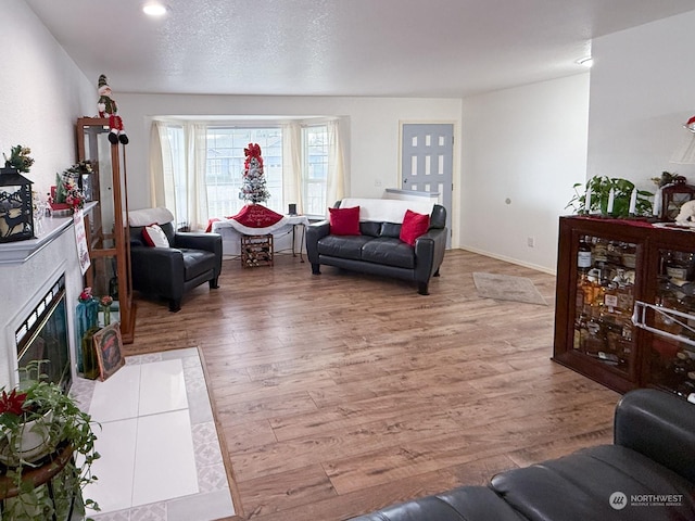 living room with wood-type flooring