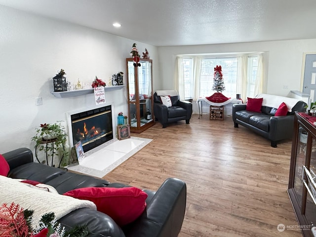 living room featuring hardwood / wood-style flooring