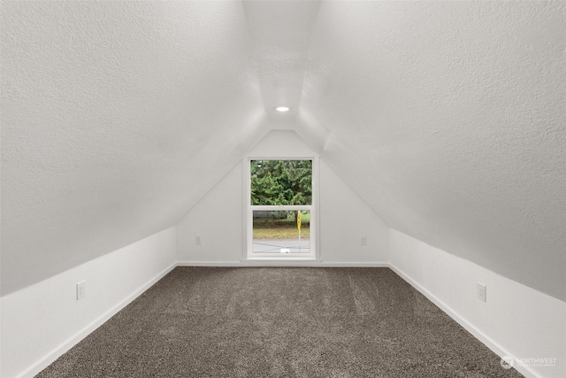 additional living space with a textured ceiling, vaulted ceiling, and carpet