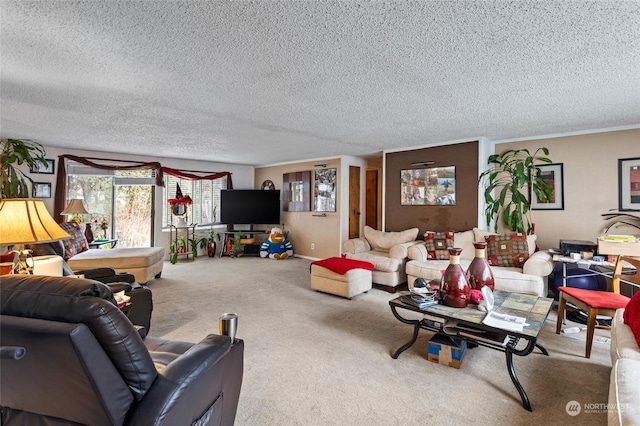 carpeted living area featuring ornamental molding and a textured ceiling