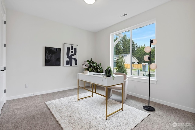 office area featuring carpet flooring