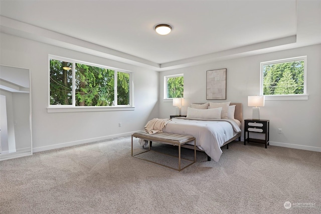 carpeted bedroom with multiple windows