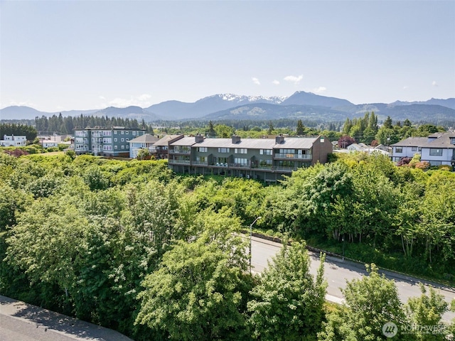 306 E Front St Unit 2, Port Angeles, WA 98362 - view of mountain backdrop