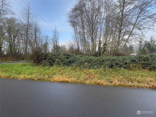 522 W Baldwin, Aberdeen WA, 98520 land for sale