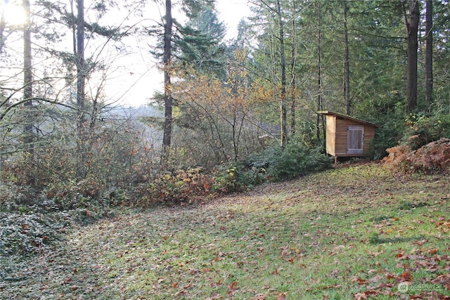 view of yard featuring a shed