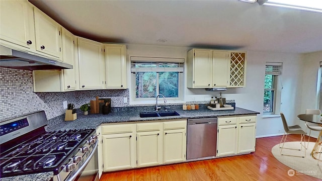 kitchen featuring sink, a wealth of natural light, light hardwood / wood-style floors, and appliances with stainless steel finishes