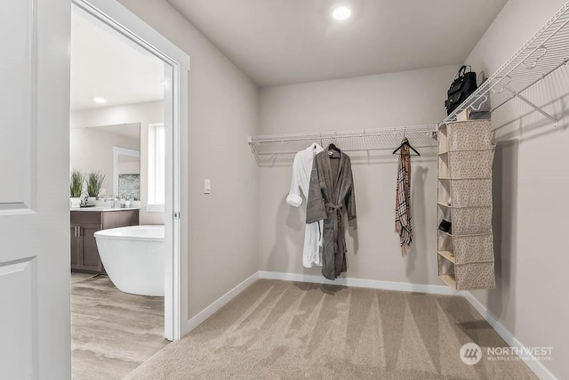 spacious closet featuring sink and light hardwood / wood-style flooring