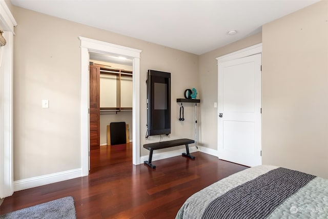 bedroom with a walk in closet, a closet, and dark wood-type flooring