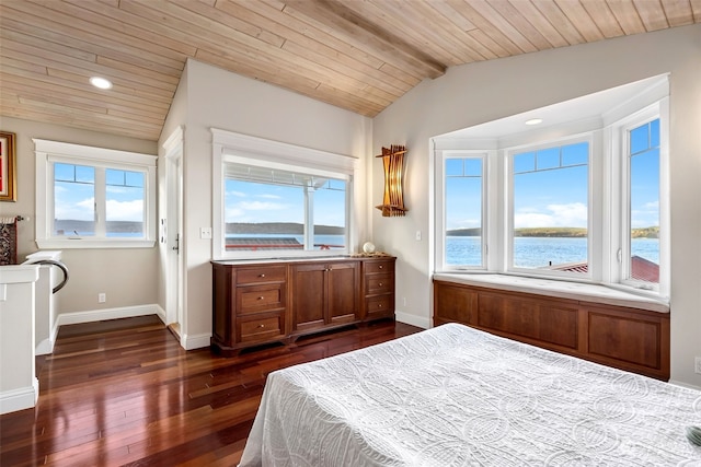 bedroom featuring dark hardwood / wood-style flooring, a water view, and multiple windows