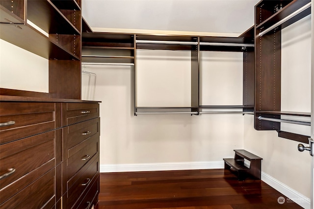 spacious closet with dark hardwood / wood-style floors